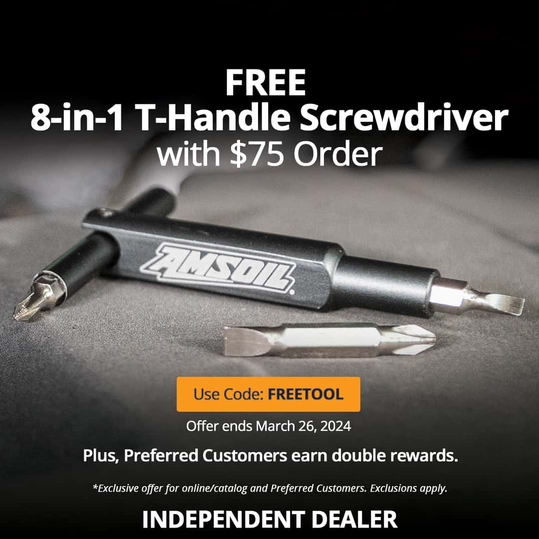 Free 8-in-1 T-handle screwdriver with $75 order